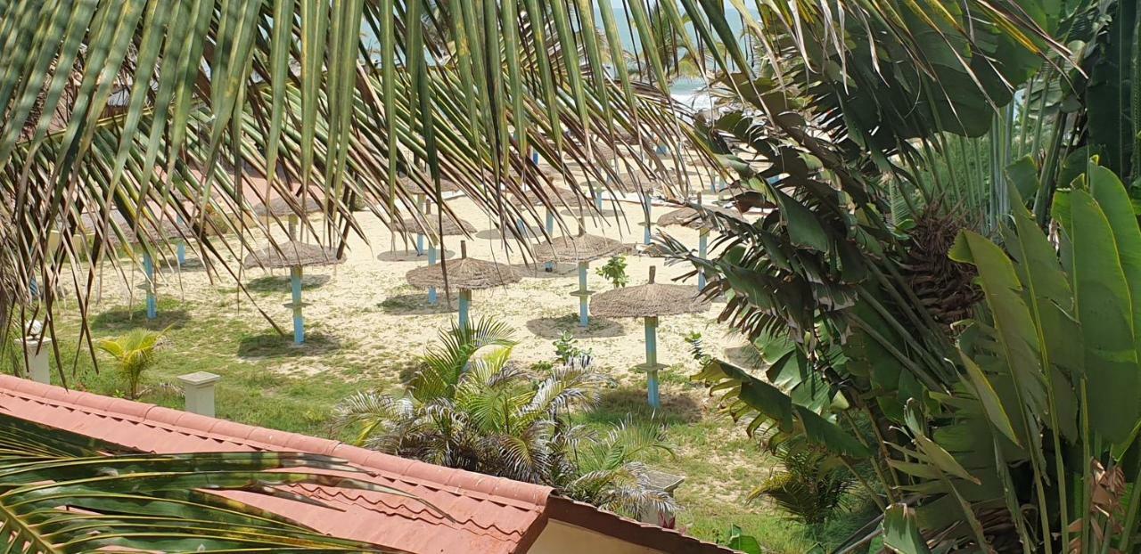 Kunta Kinteh Beach Complex 코투 외부 사진